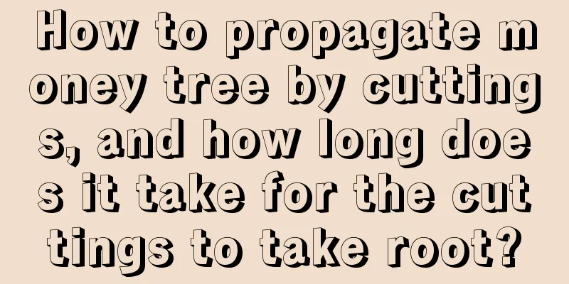 How to propagate money tree by cuttings, and how long does it take for the cuttings to take root?