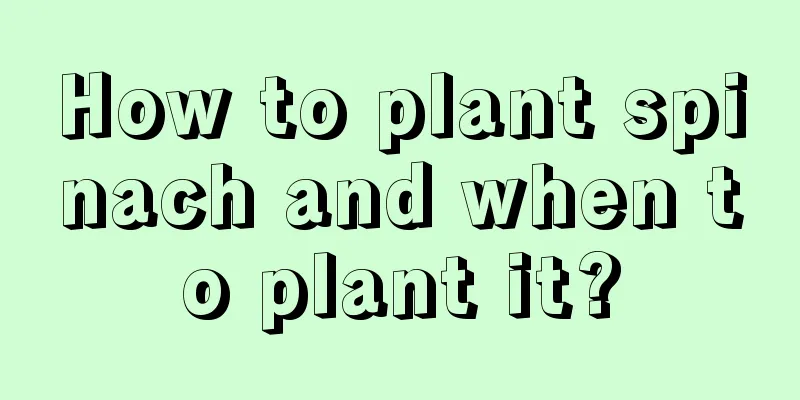 How to plant spinach and when to plant it?