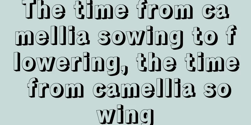 The time from camellia sowing to flowering, the time from camellia sowing