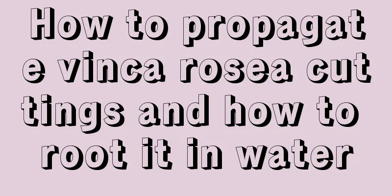 How to propagate vinca rosea cuttings and how to root it in water