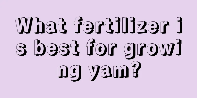 What fertilizer is best for growing yam?