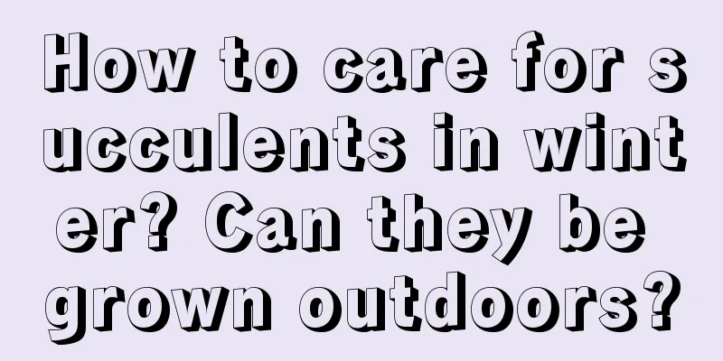 How to care for succulents in winter? Can they be grown outdoors?