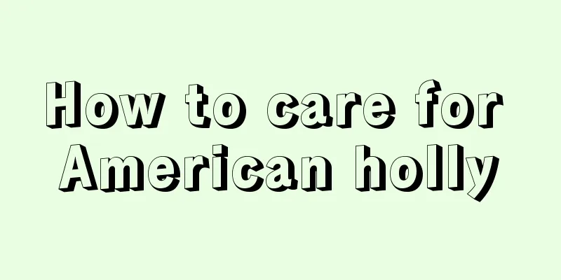 How to care for American holly