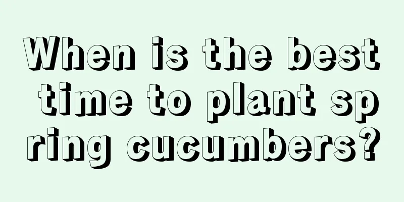 When is the best time to plant spring cucumbers?