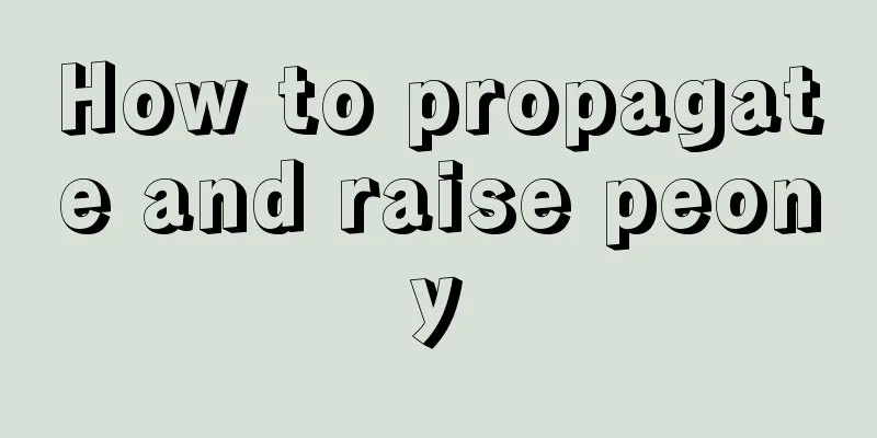 How to propagate and raise peony