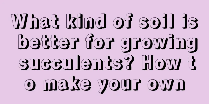 What kind of soil is better for growing succulents? How to make your own