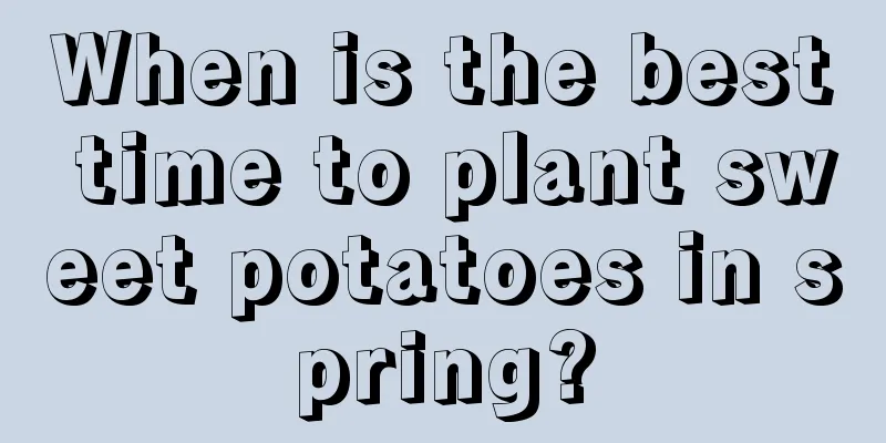 When is the best time to plant sweet potatoes in spring?