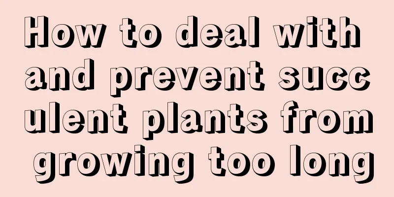 How to deal with and prevent succulent plants from growing too long