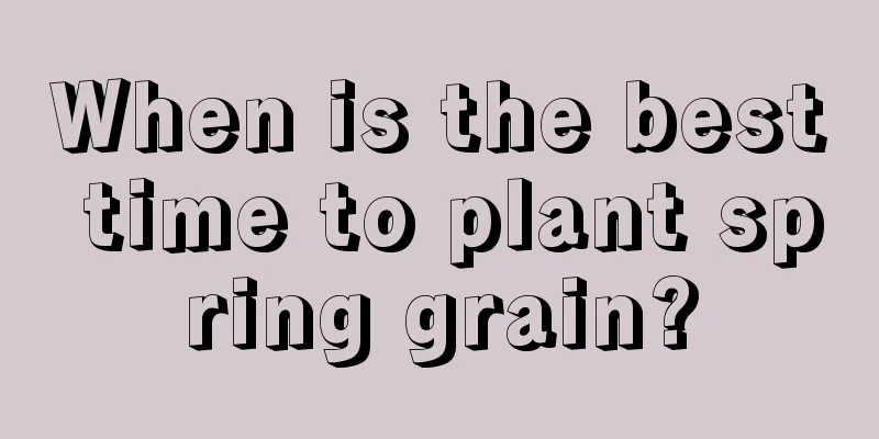 When is the best time to plant spring grain?