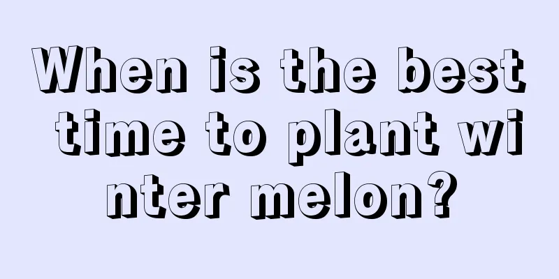 When is the best time to plant winter melon?