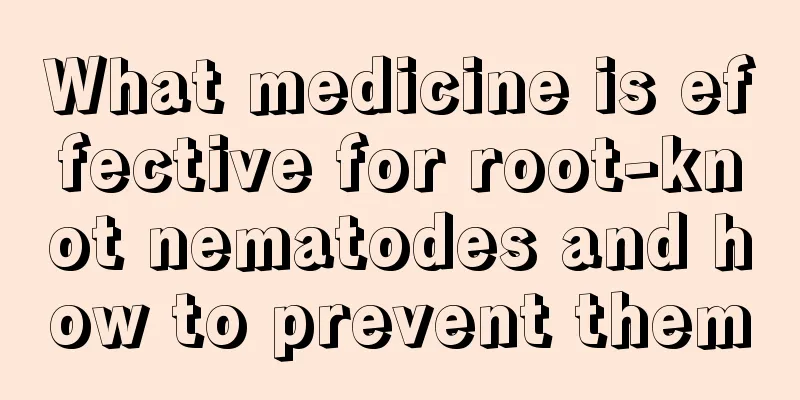 What medicine is effective for root-knot nematodes and how to prevent them