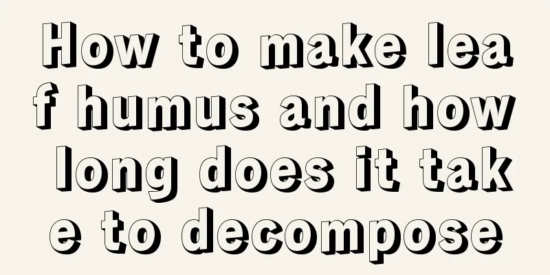 How to make leaf humus and how long does it take to decompose