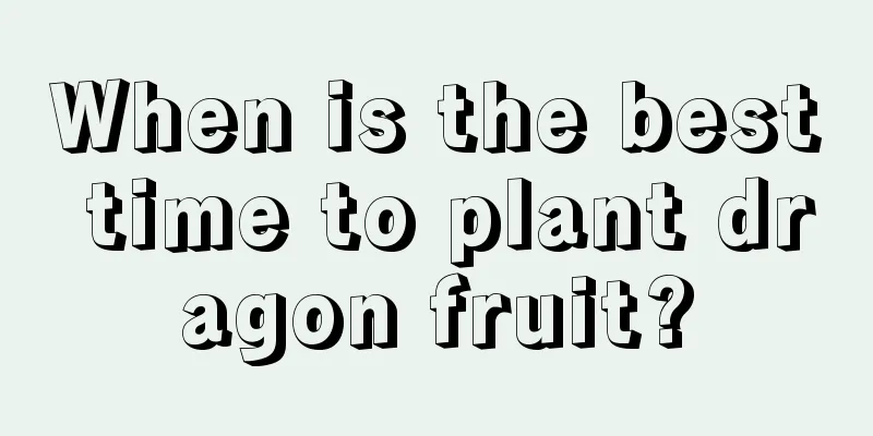 When is the best time to plant dragon fruit?