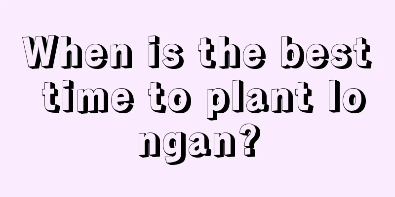 When is the best time to plant longan?