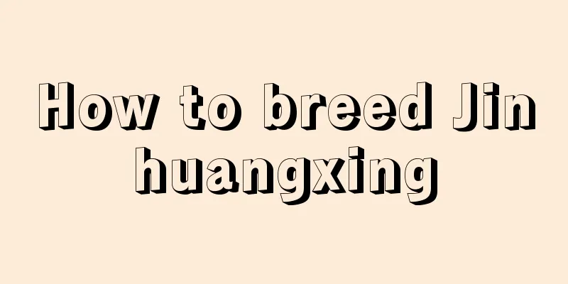 How to breed Jinhuangxing