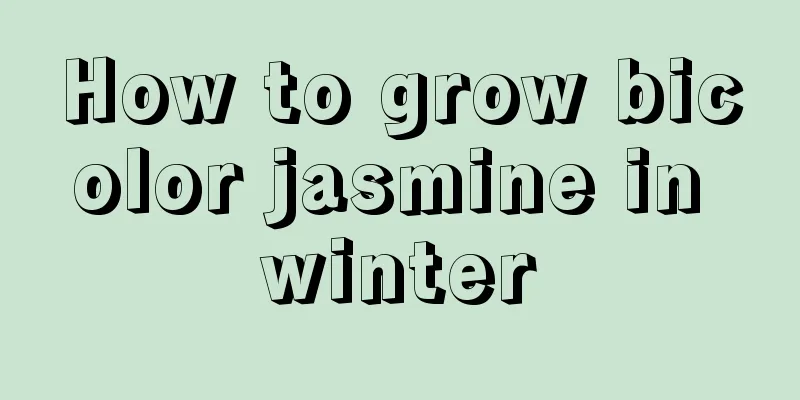 How to grow bicolor jasmine in winter