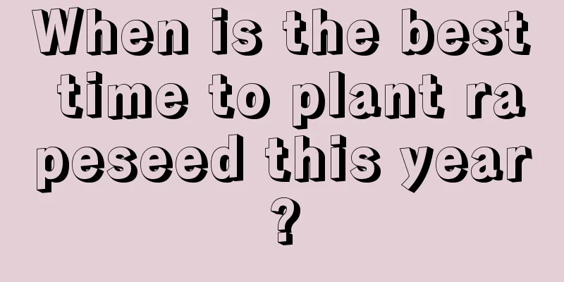 When is the best time to plant rapeseed this year?