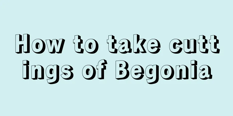 How to take cuttings of Begonia