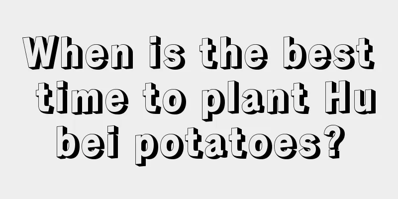 When is the best time to plant Hubei potatoes?