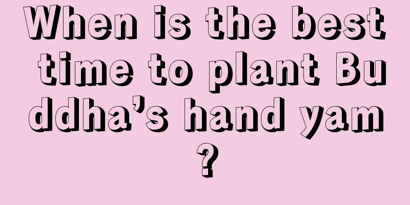 When is the best time to plant Buddha’s hand yam?