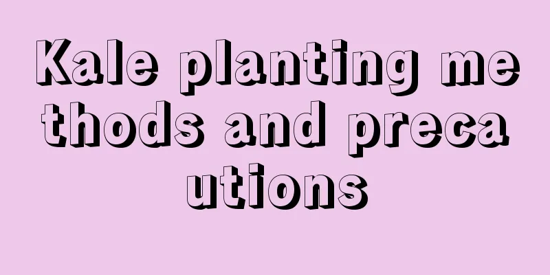 Kale planting methods and precautions