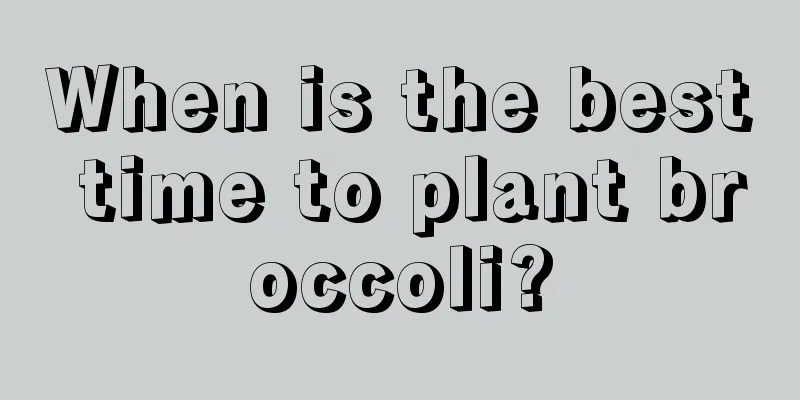 When is the best time to plant broccoli?