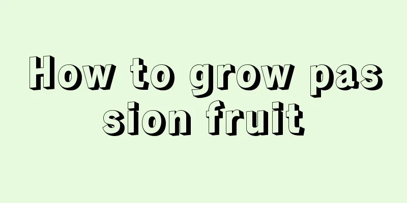 How to grow passion fruit