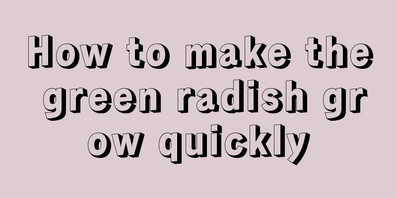 How to make the green radish grow quickly