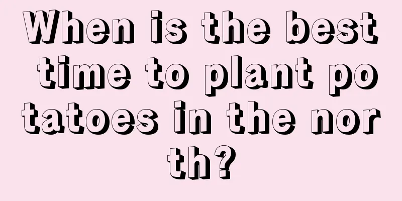 When is the best time to plant potatoes in the north?