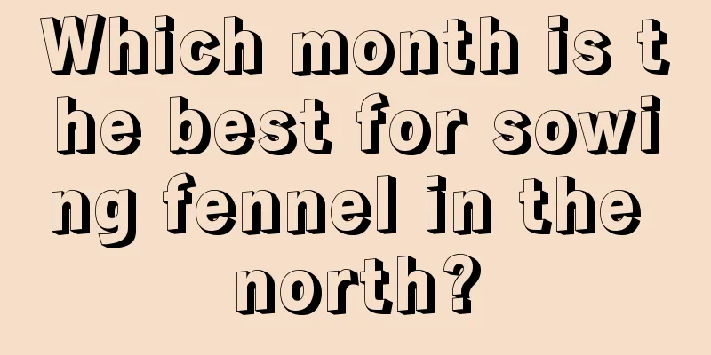 Which month is the best for sowing fennel in the north?