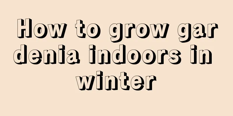 How to grow gardenia indoors in winter