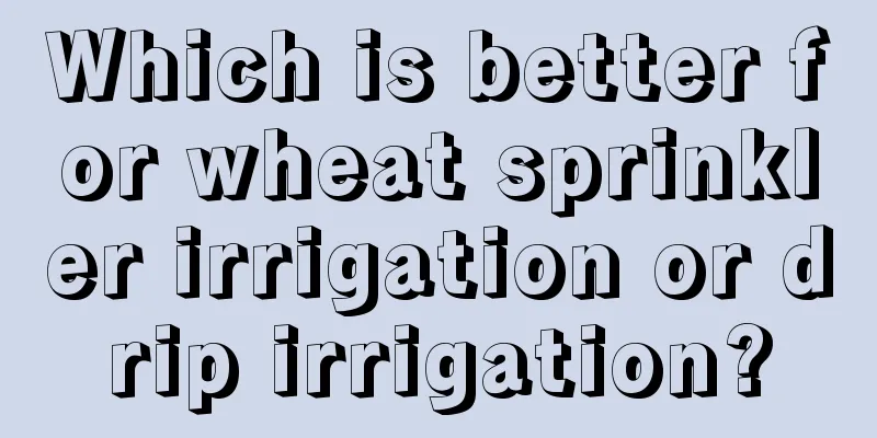 Which is better for wheat sprinkler irrigation or drip irrigation?