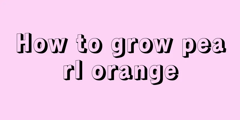 How to grow pearl orange