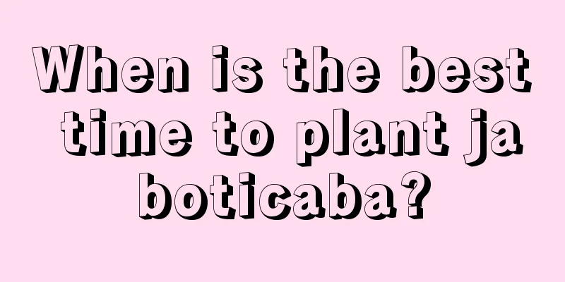 When is the best time to plant jaboticaba?