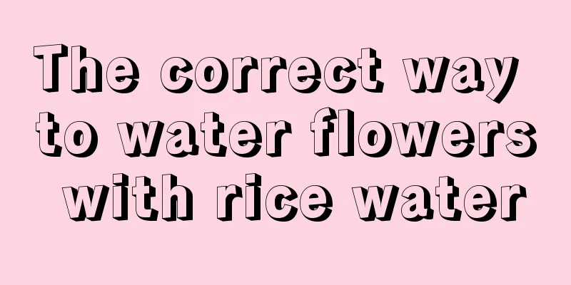 The correct way to water flowers with rice water