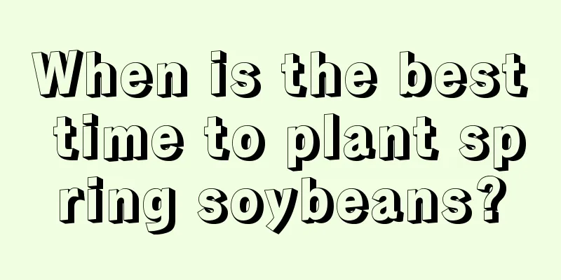 When is the best time to plant spring soybeans?