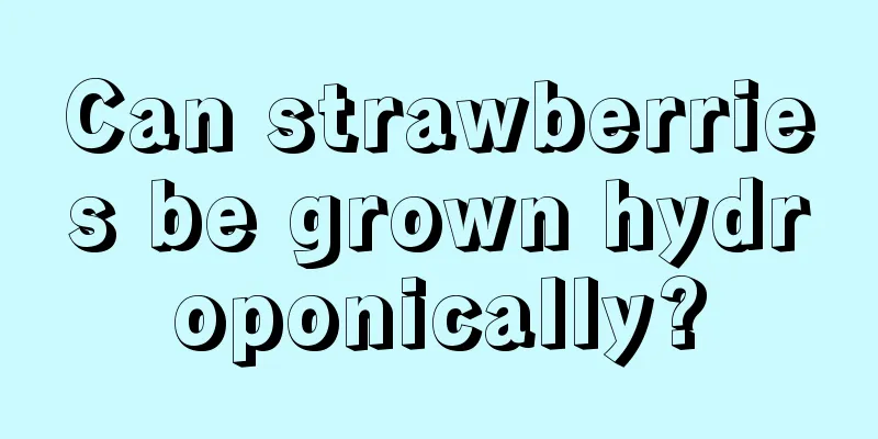 Can strawberries be grown hydroponically?