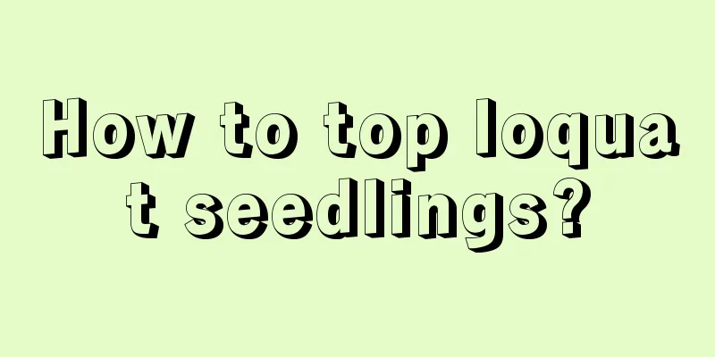 How to top loquat seedlings?