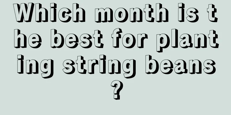 Which month is the best for planting string beans?