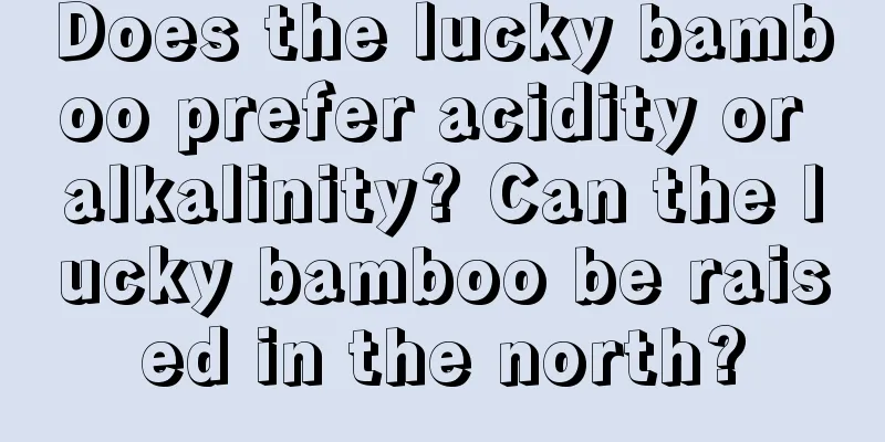 Does the lucky bamboo prefer acidity or alkalinity? Can the lucky bamboo be raised in the north?