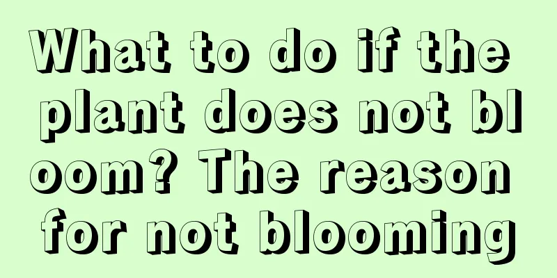 What to do if the plant does not bloom? The reason for not blooming