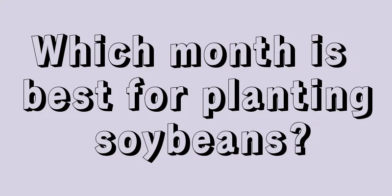 Which month is best for planting soybeans?