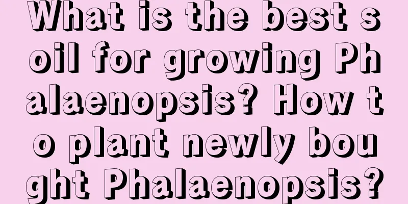 What is the best soil for growing Phalaenopsis? How to plant newly bought Phalaenopsis?