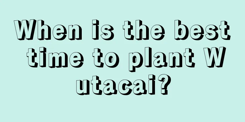 When is the best time to plant Wutacai?