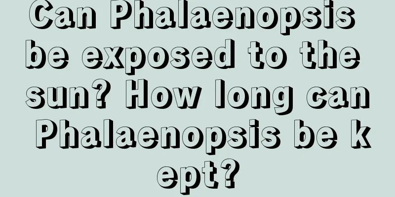 Can Phalaenopsis be exposed to the sun? How long can Phalaenopsis be kept?