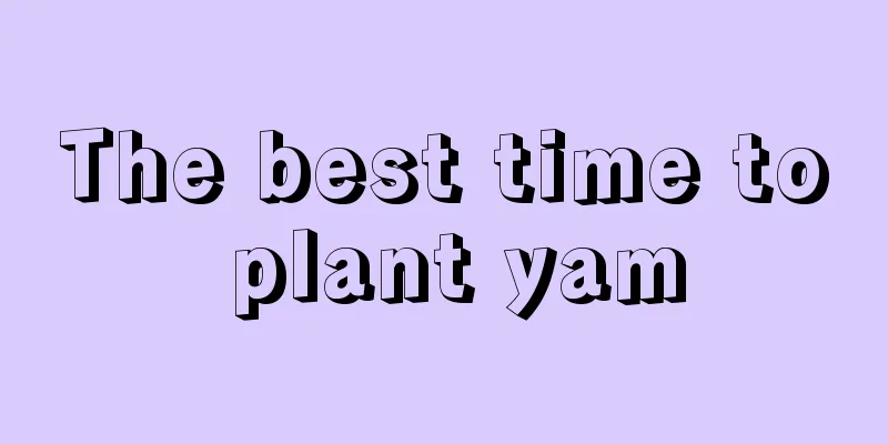 The best time to plant yam