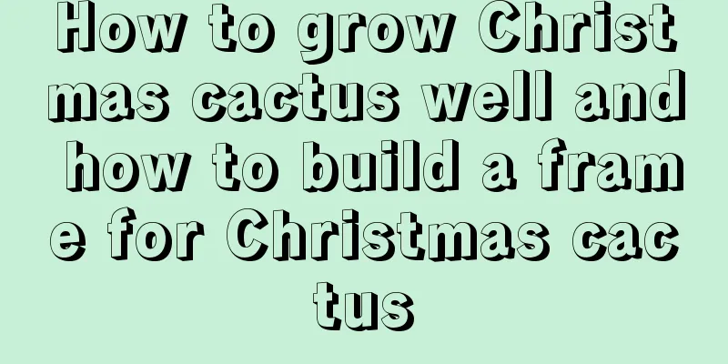 How to grow Christmas cactus well and how to build a frame for Christmas cactus