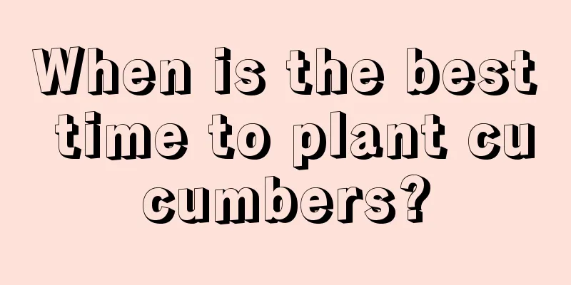 When is the best time to plant cucumbers?