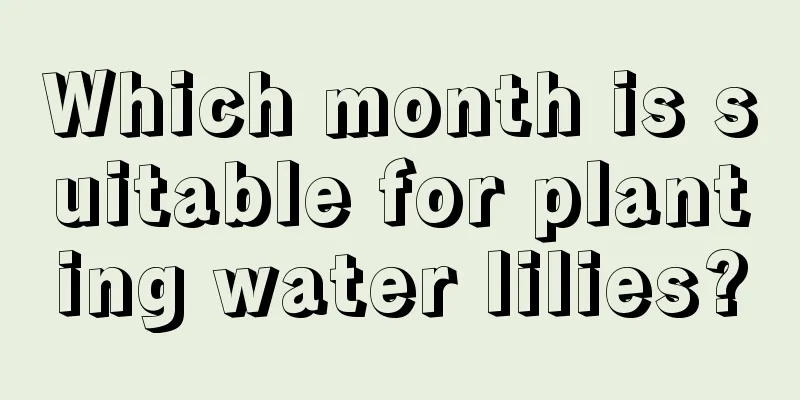 Which month is suitable for planting water lilies?