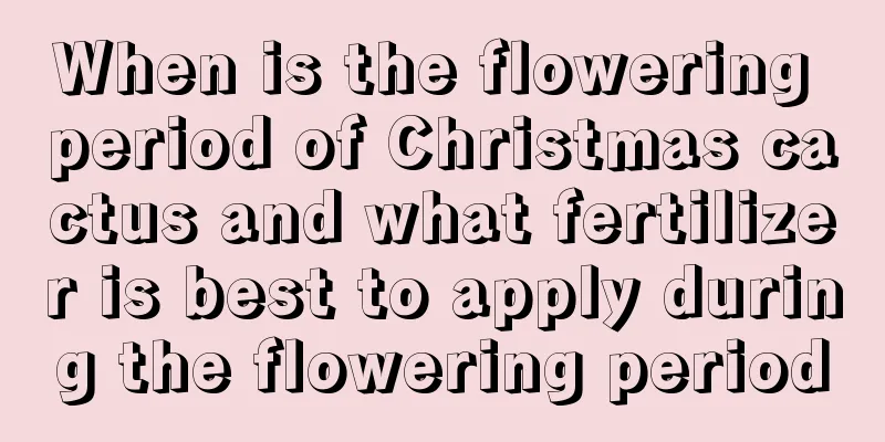 When is the flowering period of Christmas cactus and what fertilizer is best to apply during the flowering period